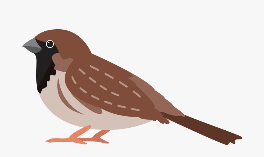 Img House Sparrow , Free Transparent Clipart ClipartKey