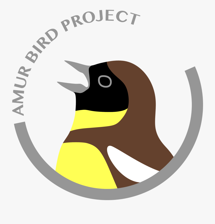 Amur Bird Project, Transparent Clipart