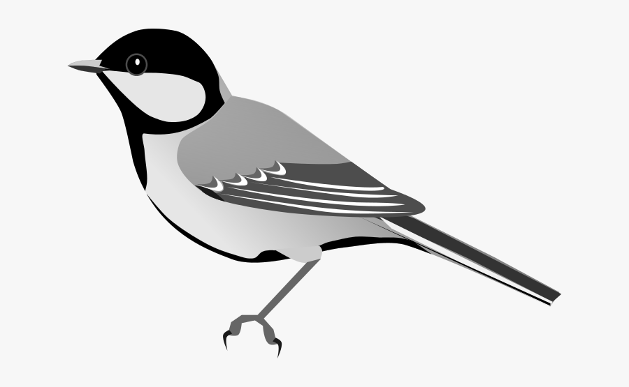 Parus Major Png, Transparent Clipart
