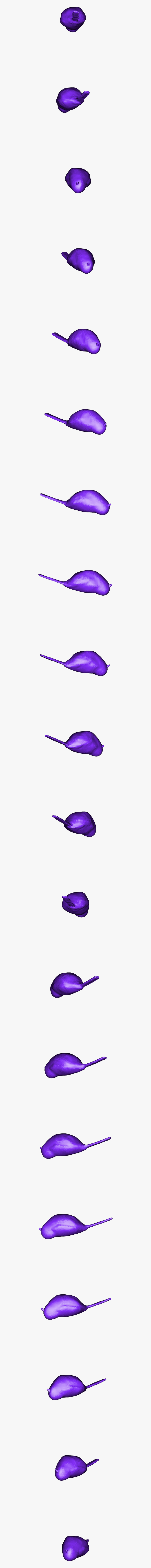 Tulip, Transparent Clipart