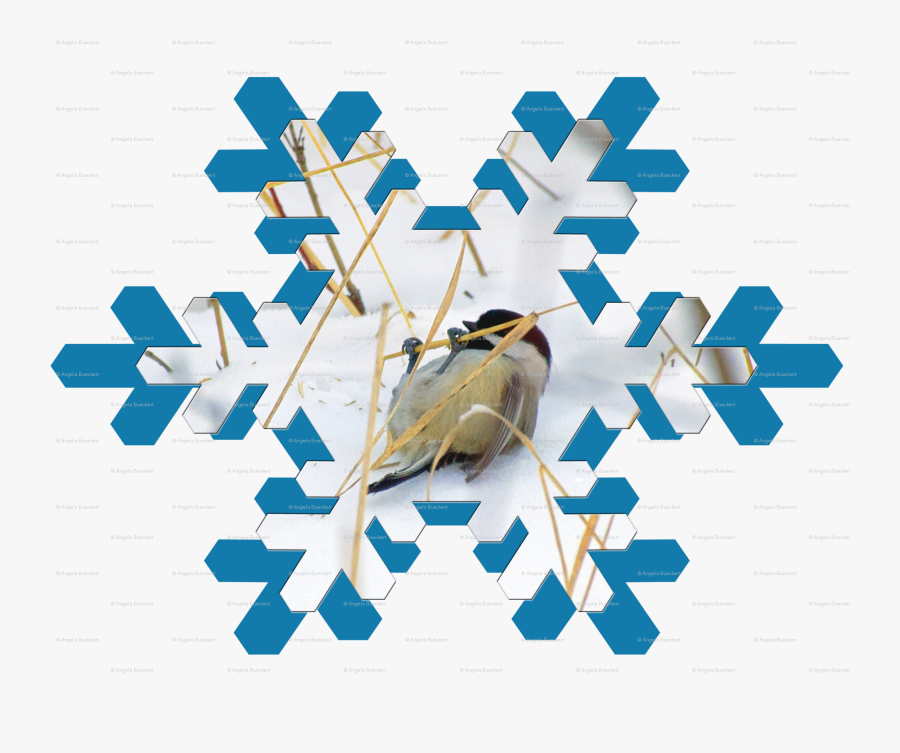Perching Bird, Transparent Clipart