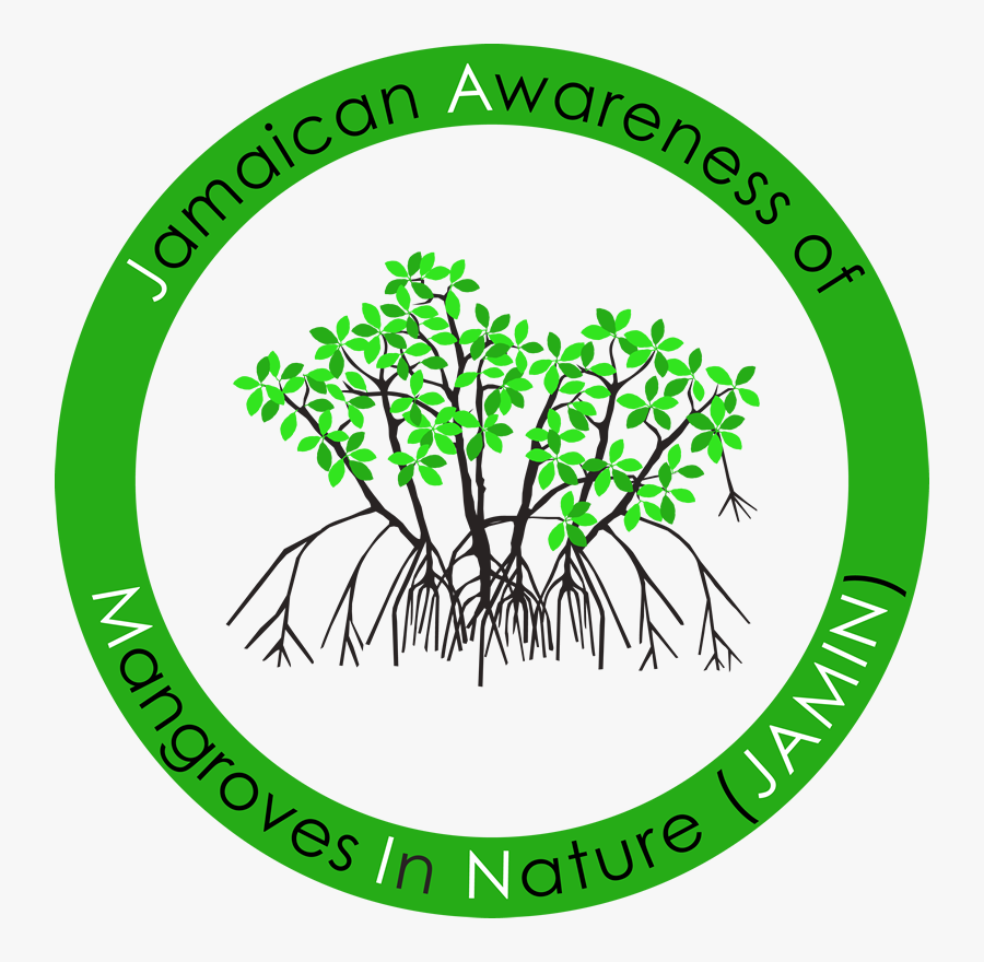 Mangrove Logo, Transparent Clipart