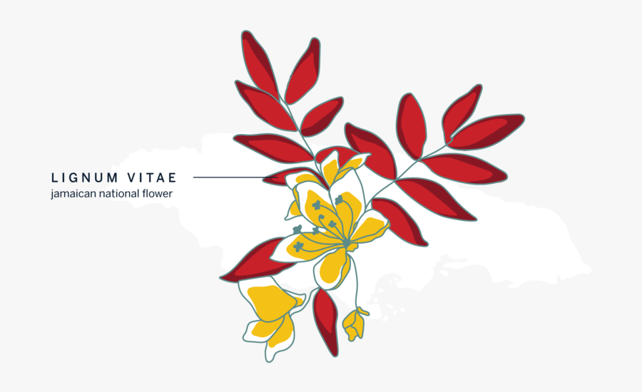 Illo Jamaica - Illustration, Transparent Clipart