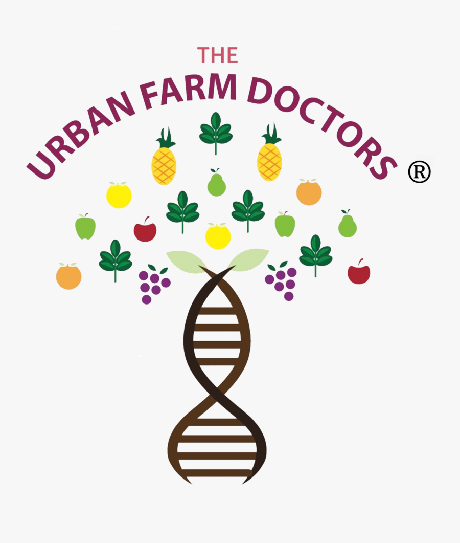 Watson Campaign Automation Logo, Transparent Clipart