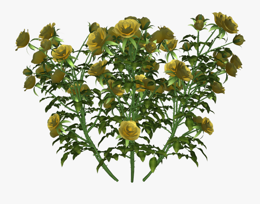 Globe Flower, Transparent Clipart