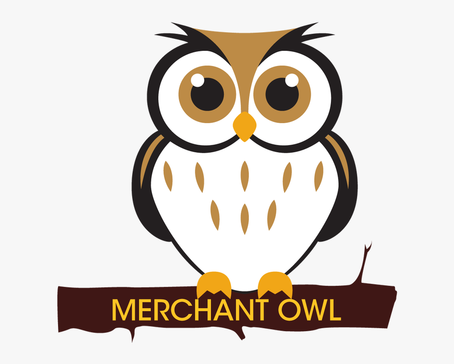 Cute Owl, Transparent Clipart