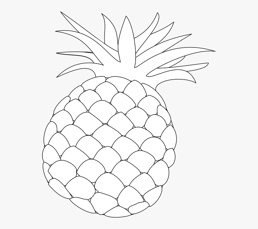 Pineapple, Outline, Food, Fruit, Health, Hawaii, Sweet - Pineapple Fruit Line Draw, Transparent Clipart