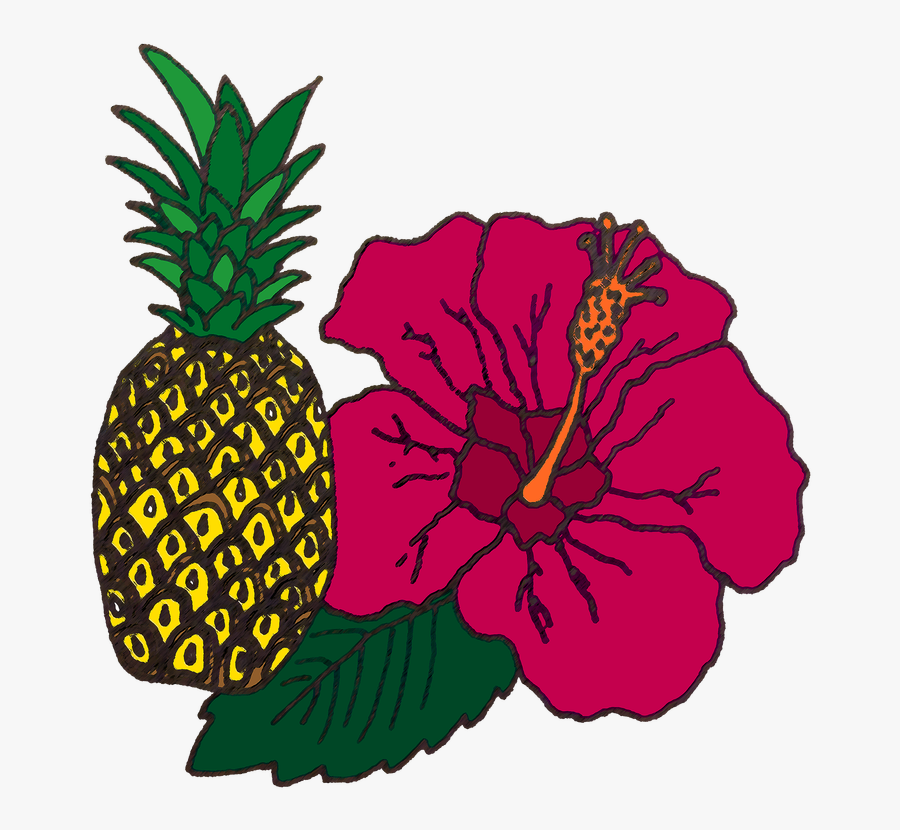 Colored Drawing Pineapple - Pineapple, Transparent Clipart