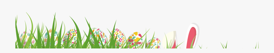 Tulip, Transparent Clipart