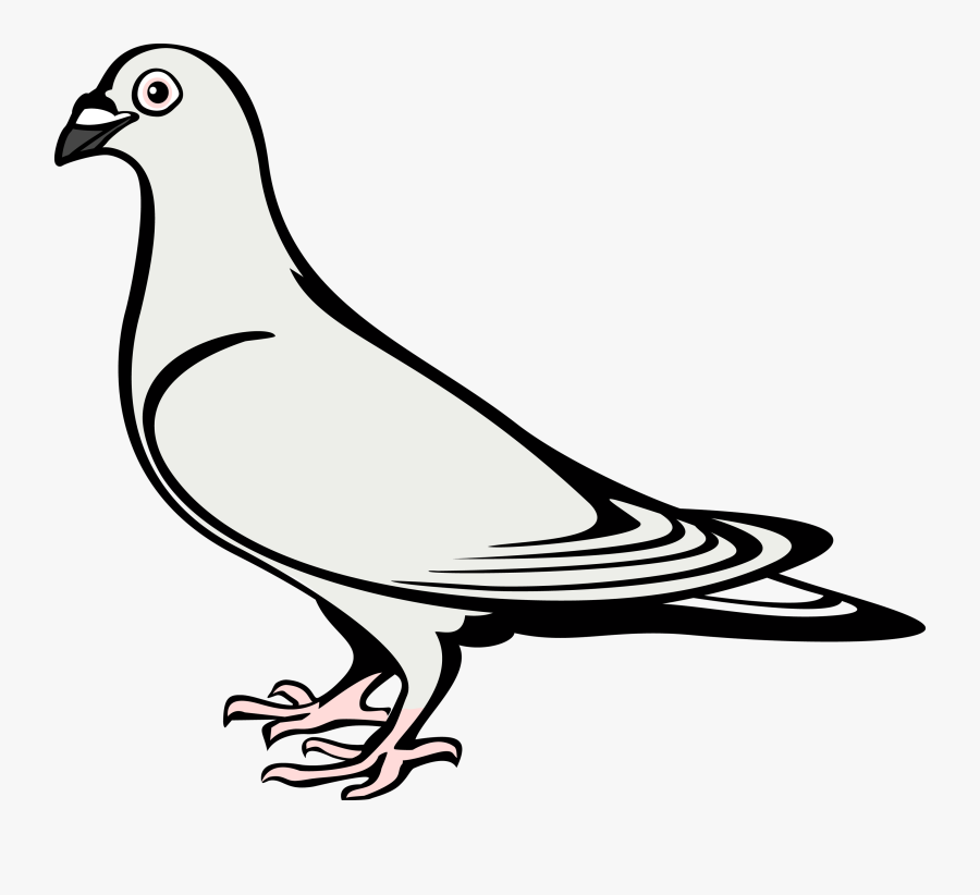 Coat Of Arms Dove, Transparent Clipart