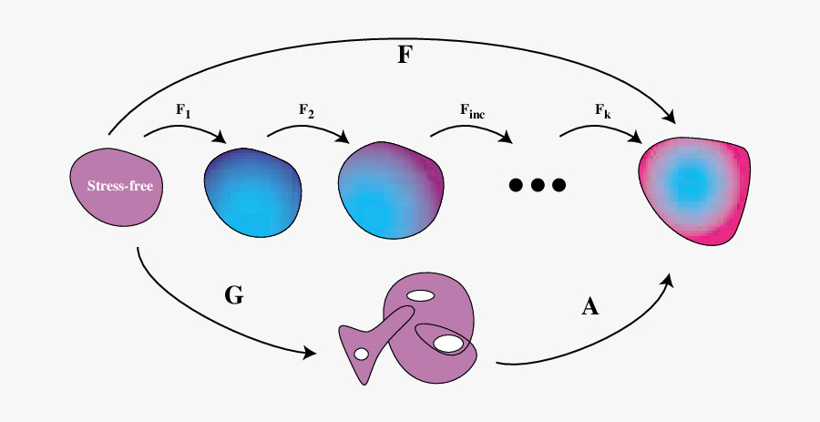 Computation Of Deformation For A Pre Stressed Body - Circle, Transparent Clipart
