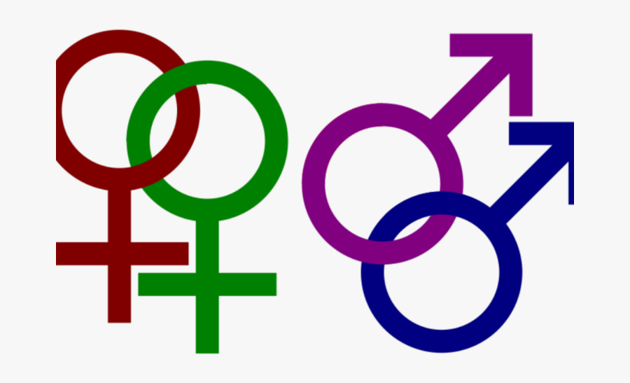 Daily Readings With Reflections, Pope"s Messages, Bishop"s - Same Sex Marriage Clip Art, Transparent Clipart