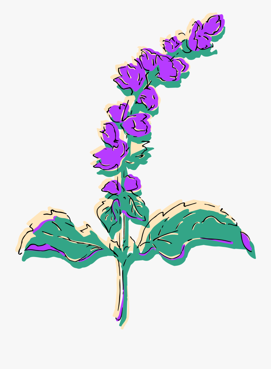 Illustration, Transparent Clipart