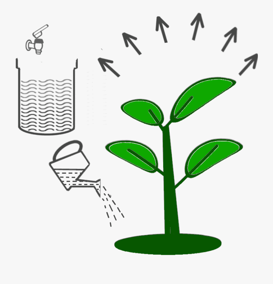 6 Dilute Smartbrew And Water Plants - Illustration, Transparent Clipart