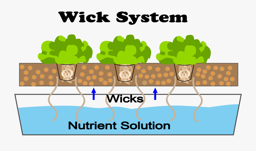 The Wick System Irrigates The Plants Via A Candle Wick - Wick System Hydroponics, Transparent Clipart