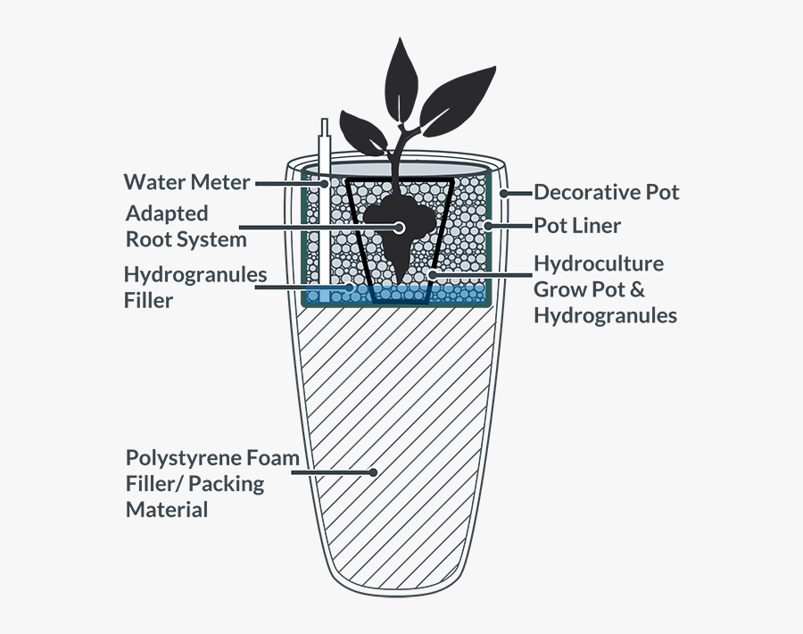 Hydroculture Low Maintenance Houseplants In A Pot Liner - Indoor Planter Drainage System, Transparent Clipart