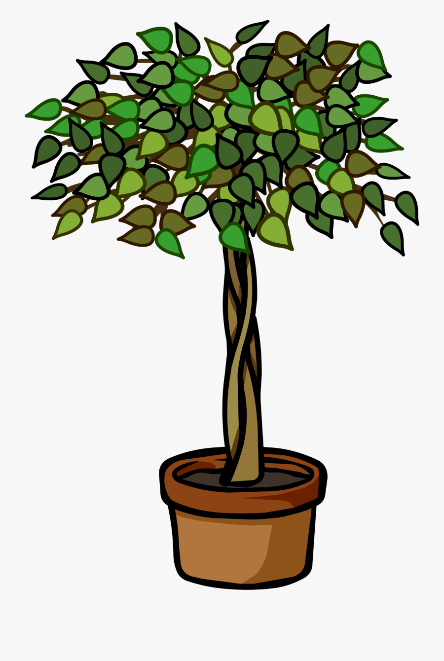 John Cena Clipart Plant - Ficus Tree Clip Art, Transparent Clipart