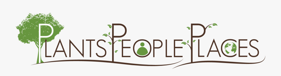 Graphic Design, Transparent Clipart