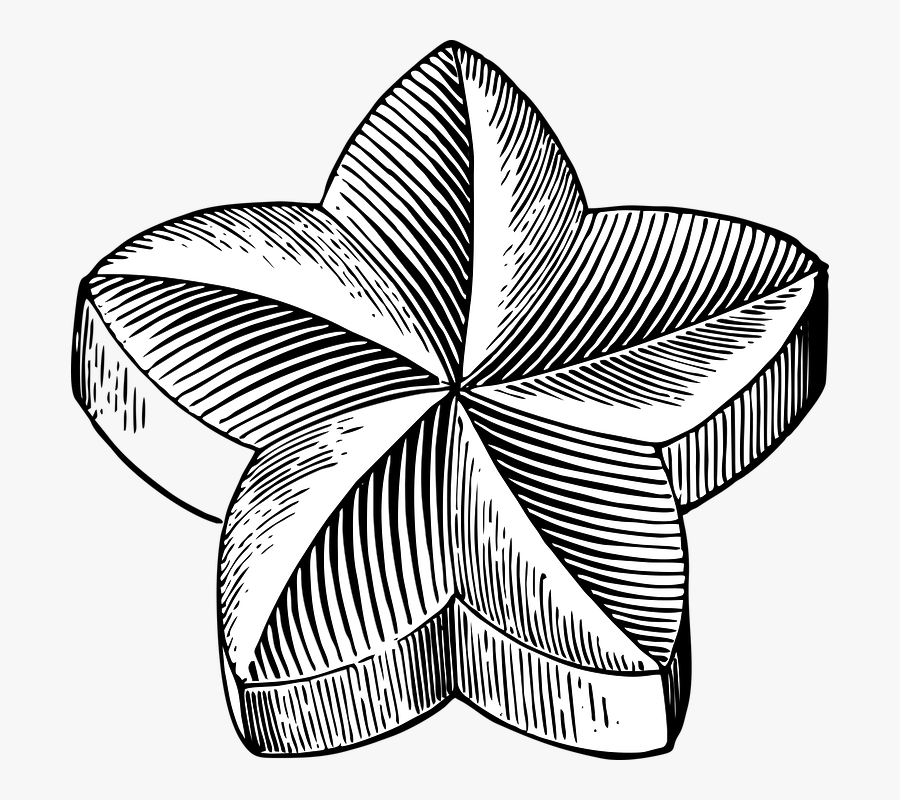 Star, Flower, Shape, Design, Decoration - Shape Design Art, Transparent Clipart
