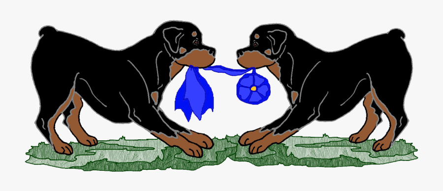 Rottweilerribbontug Tp - Rottweiler, Transparent Clipart