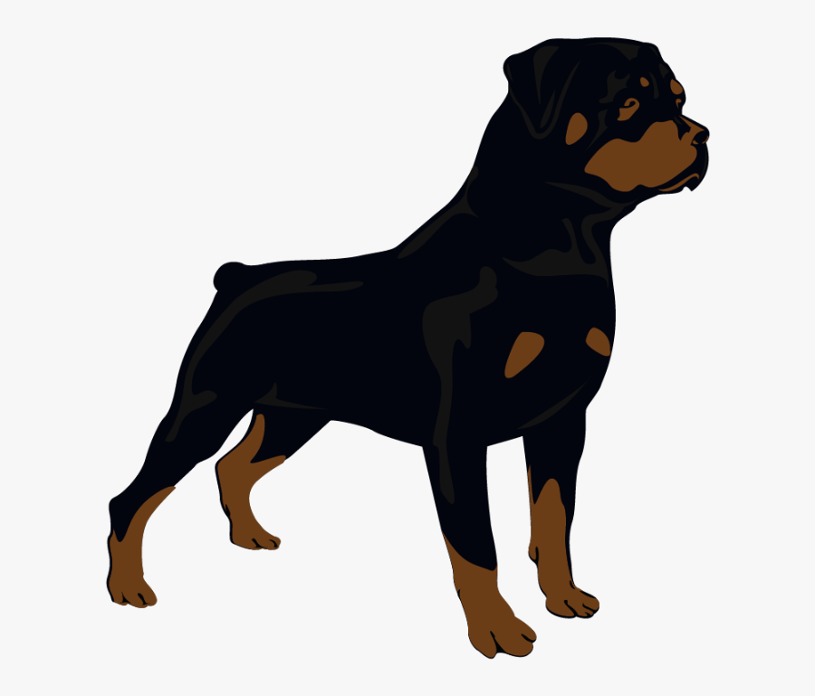 #rottweiler #freetoedit - Rottweiler, Transparent Clipart