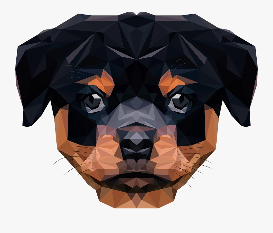 Origami, Transparent Clipart