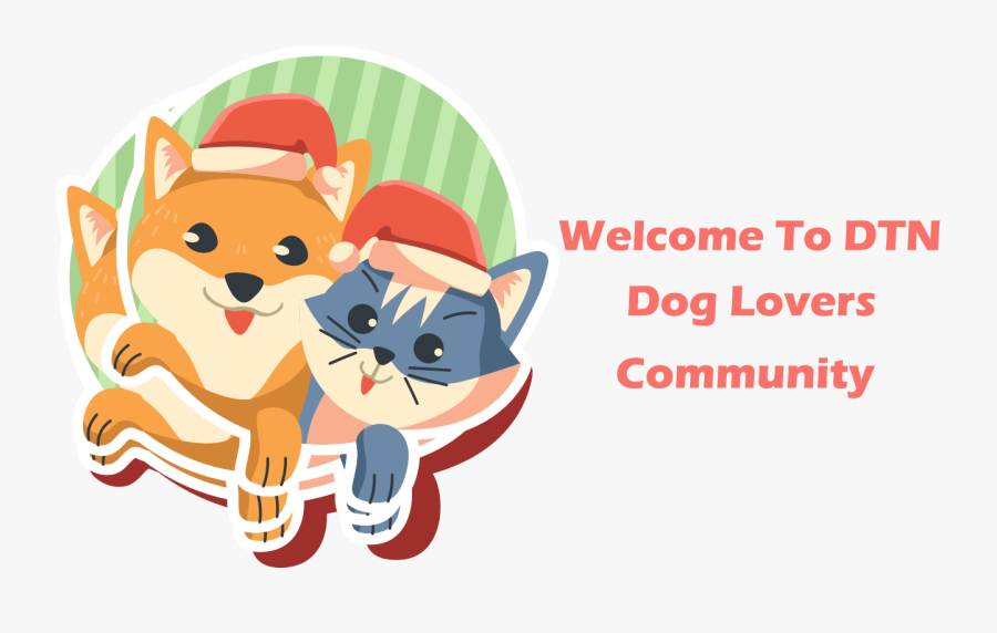 Dtn - Dopkins And Company, Transparent Clipart