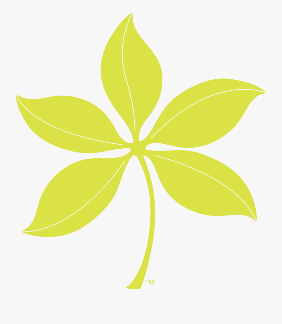 Buckeye Leaf Black & White, Transparent Clipart