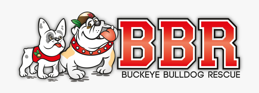 Buckeye Clip Art, Transparent Clipart
