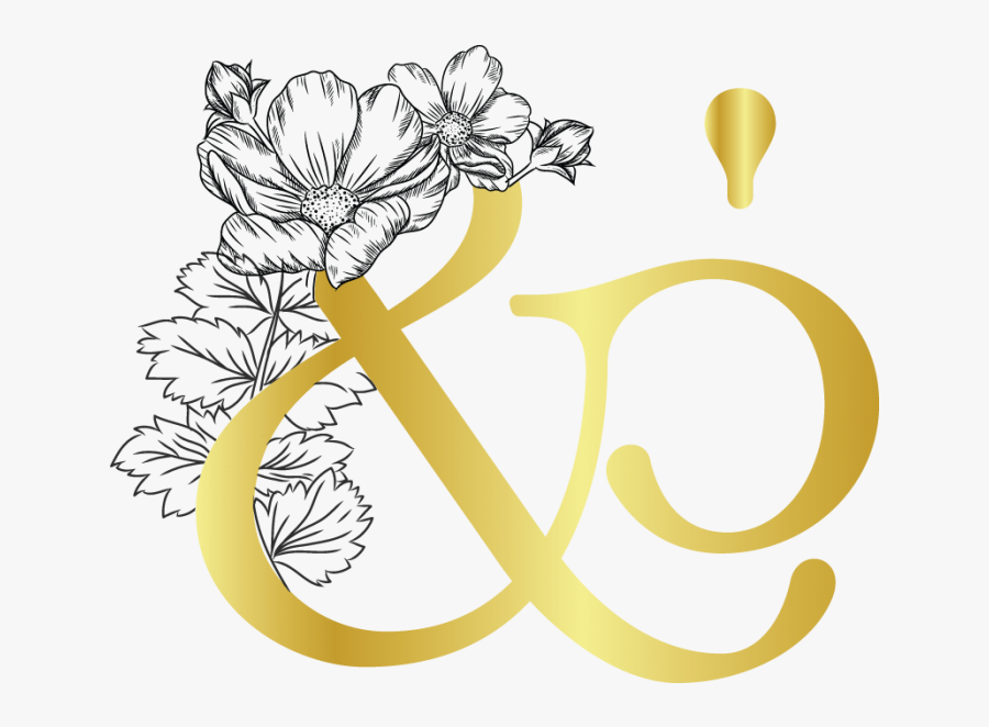 Lotus, Transparent Clipart