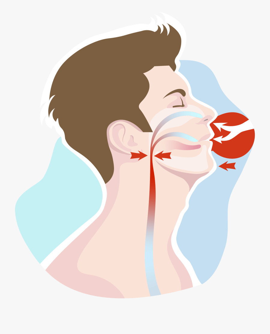 Illustration, Transparent Clipart