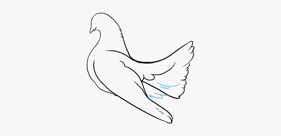 Drawn Pidgeons Pigeon Line - Sketch, Transparent Clipart