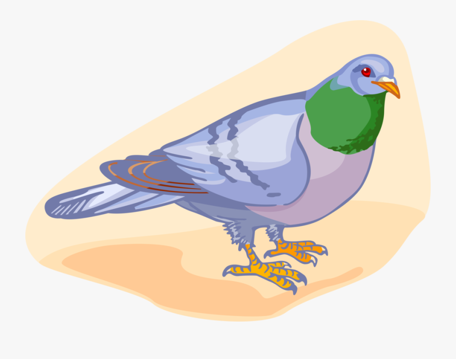 Vector Illustration Of Feathered Vertebrate Pigeon - Partridge, Transparent Clipart