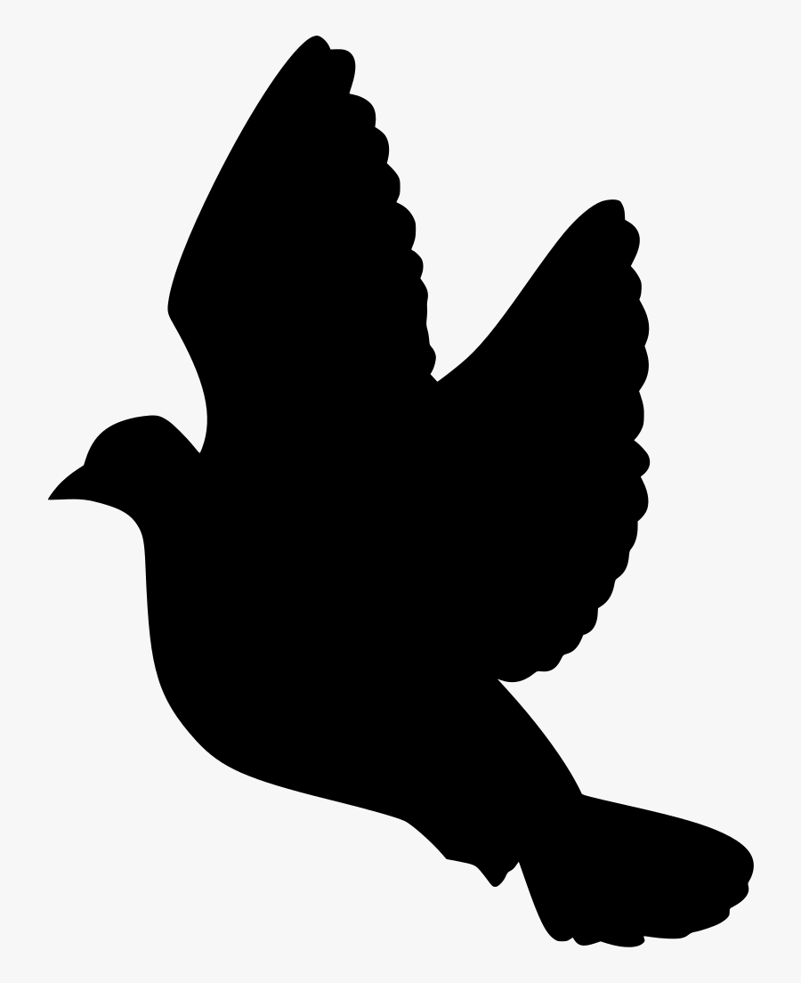 Stock Dove, Transparent Clipart