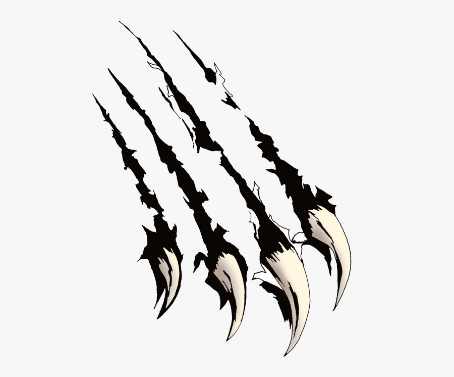 Clip Art Bear Claws, Transparent Clipart