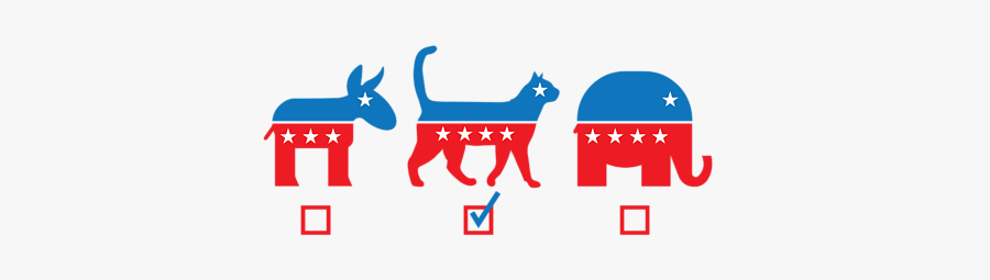 T-shirt, Transparent Clipart