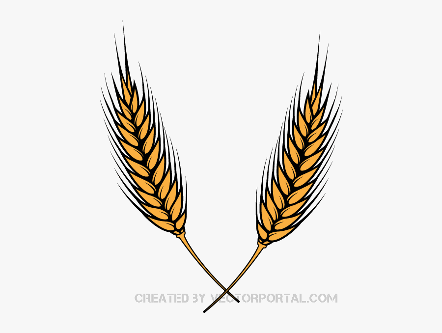 Wheat Clipart Black And White Free Best Transparent - Vector Image Of Wheat, Transparent Clipart