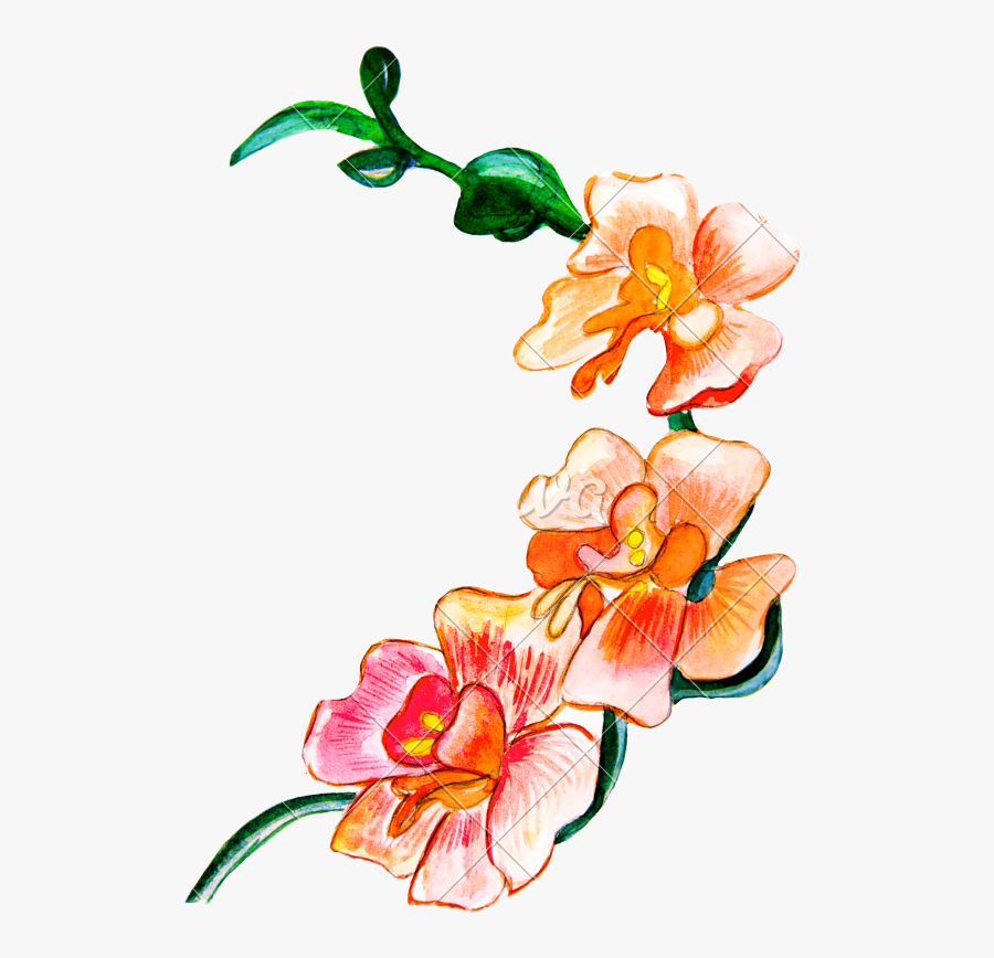Flowers Painted With Watercolors - Pitch Colour Flower Png, Transparent Clipart