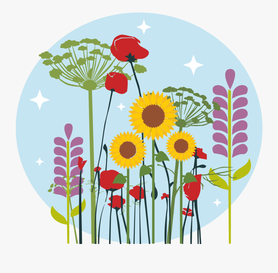 Buying Your First Bee - Sunflower, Transparent Clipart