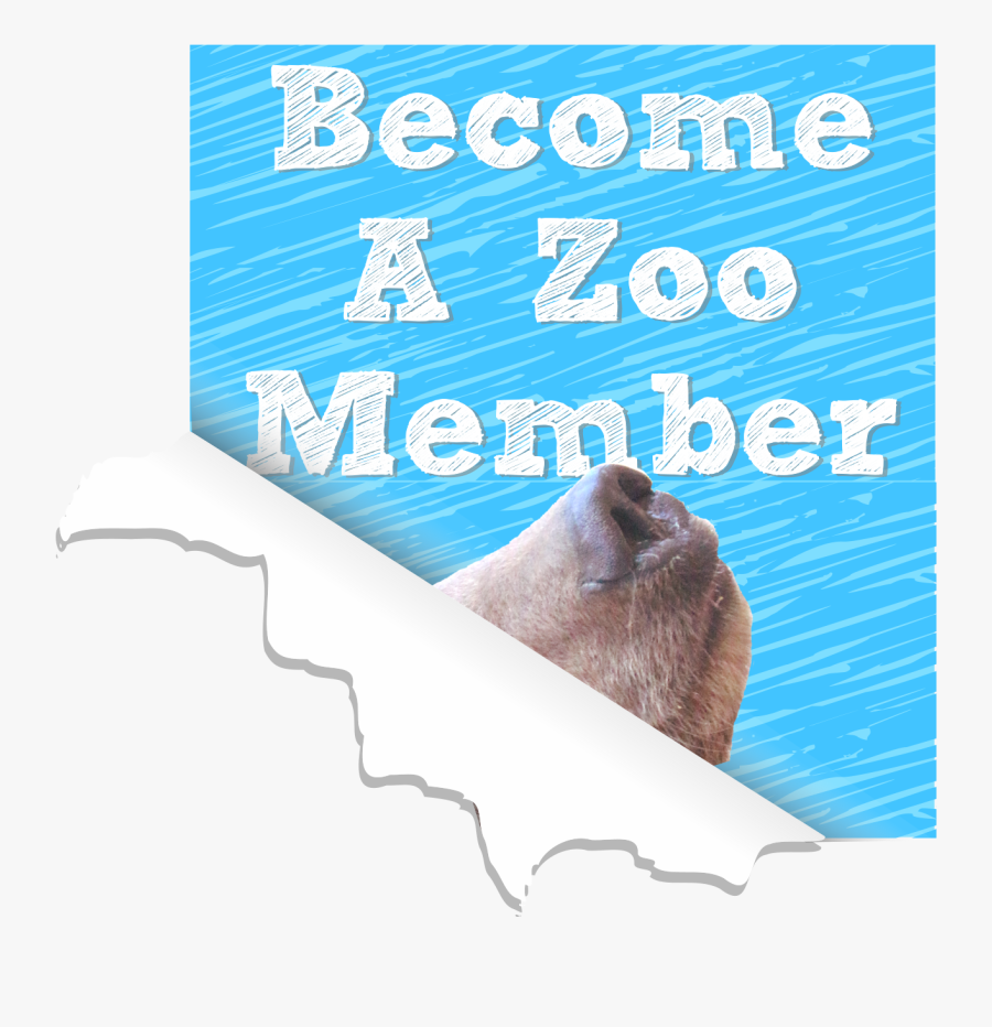 Punxsutawney Phil, Transparent Clipart