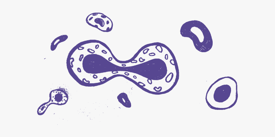 Illustration, Transparent Clipart