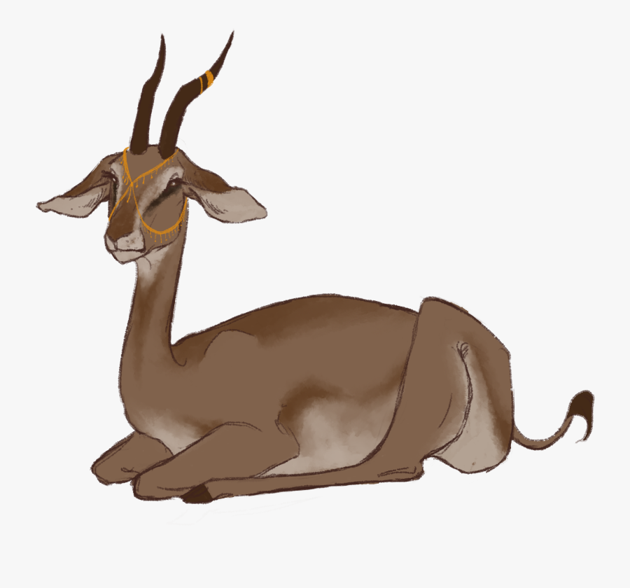 Thomson S Gazelle Clipart Png Download Springbok Free Transparent Clipart Clipartkey