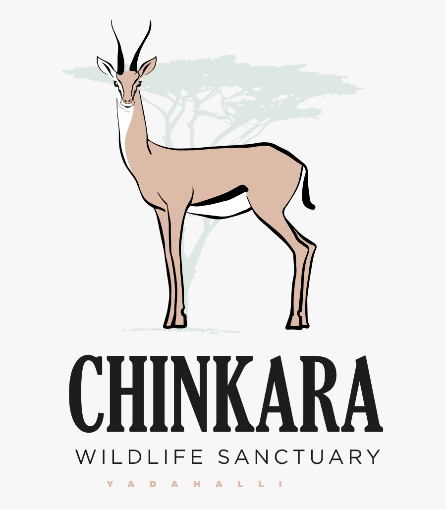 Richfaces, Transparent Clipart