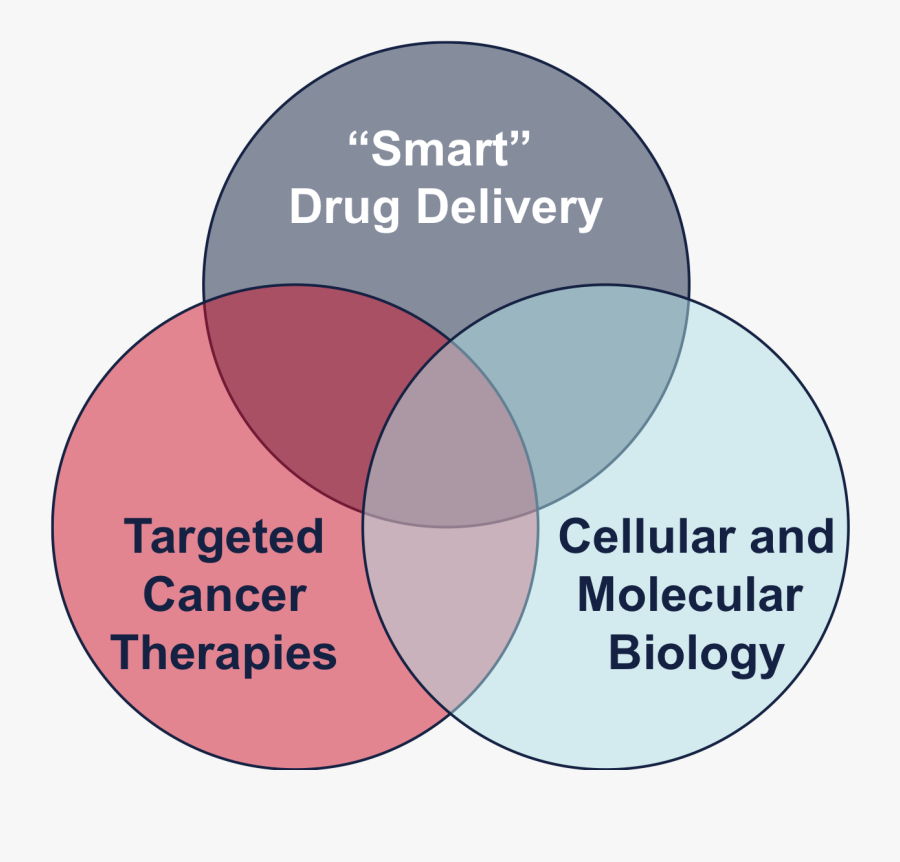 Circle, Transparent Clipart