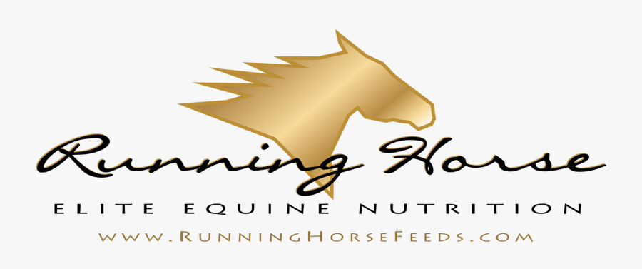 Calligraphy, Transparent Clipart