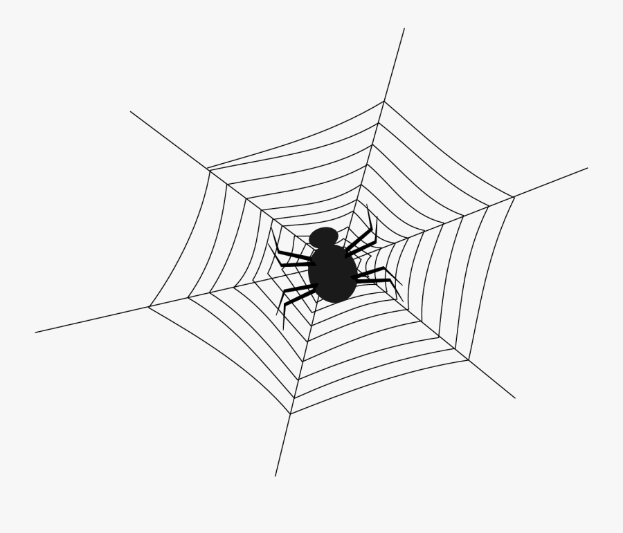 Cobweb Spider Spiderweb Free Picture - Spider In The Middle Of Web, Transparent Clipart