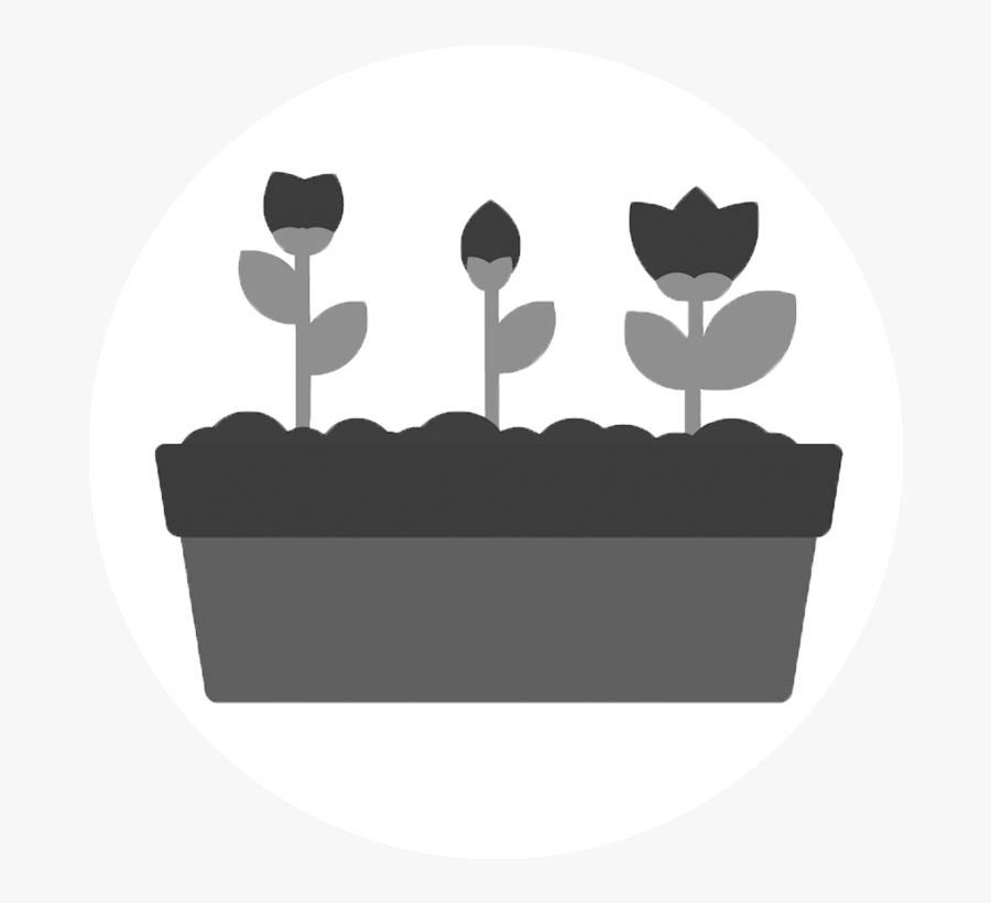 春天 的 代表 物, Transparent Clipart