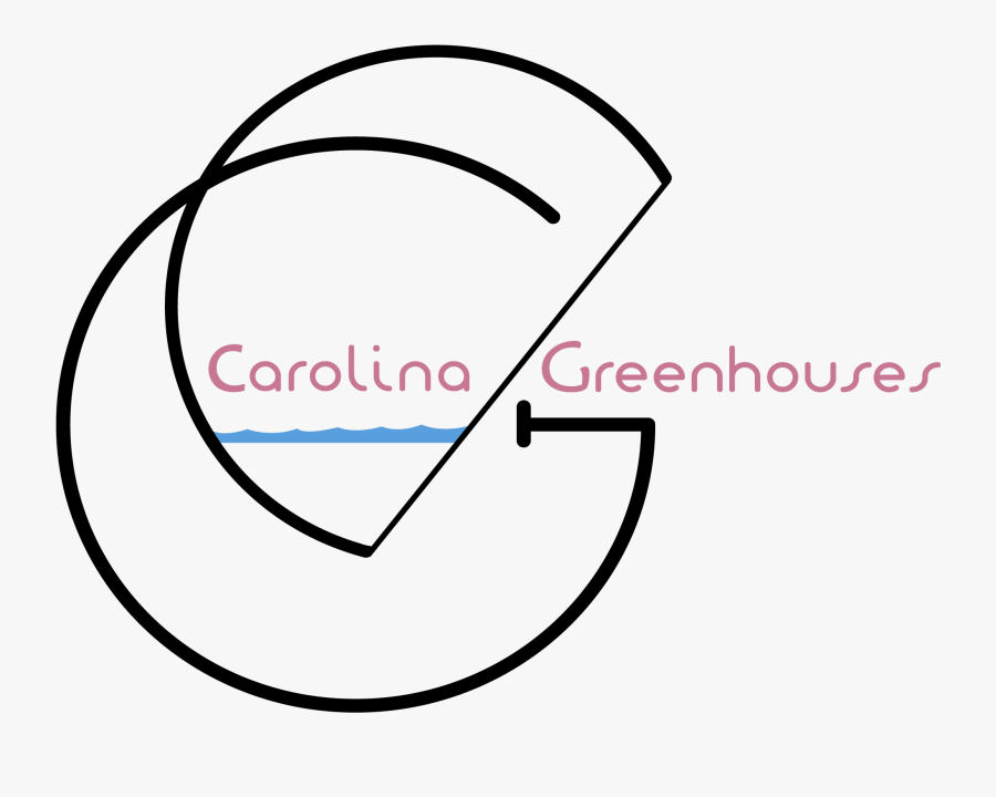 Circle, Transparent Clipart