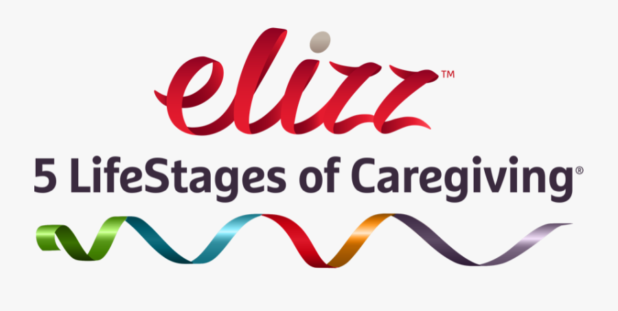 Graphic Design, Transparent Clipart