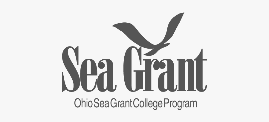 Calligraphy, Transparent Clipart